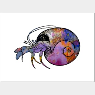 Hermit Crab Posters and Art